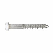 HOMECARE PRODUCTS 832086 0.5 x 4 in. Hex Head Lag Screw Stainless Steel HO2741707